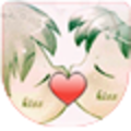 Original_icon2-60